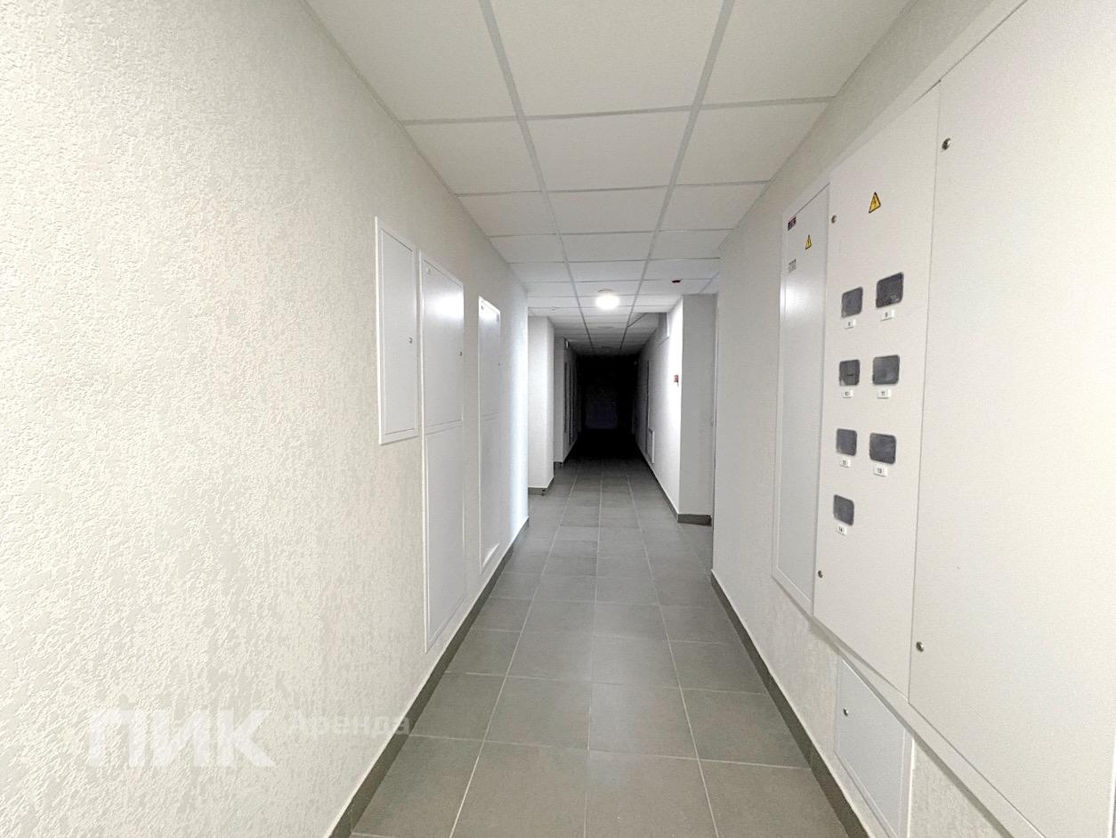 1-к. квартира, 31.8 м², 70 300 ₽/мес — фото № 12