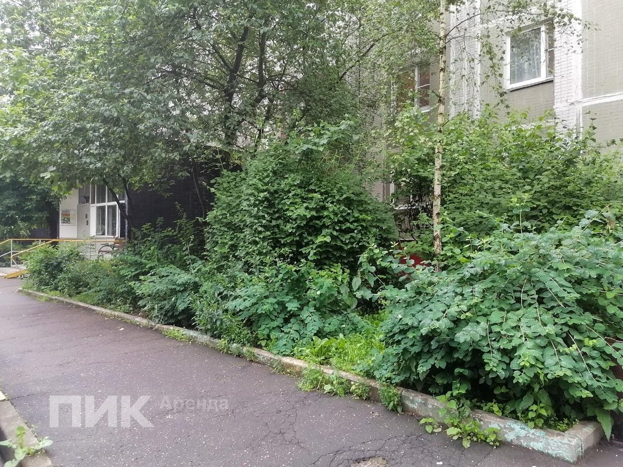 1-к. квартира, 38 м², 61 900 ₽/мес — фото № 17
