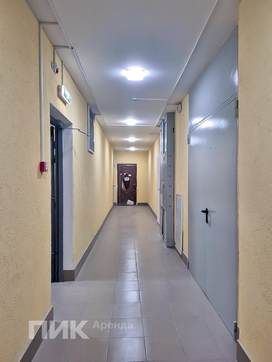 1-к. квартира, 37 м², 51 800 ₽/мес — фото № 13