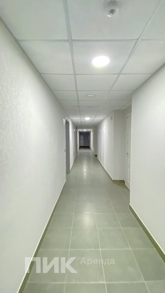 1-к. квартира, 31 м², 46 100 ₽/мес — фото № 14