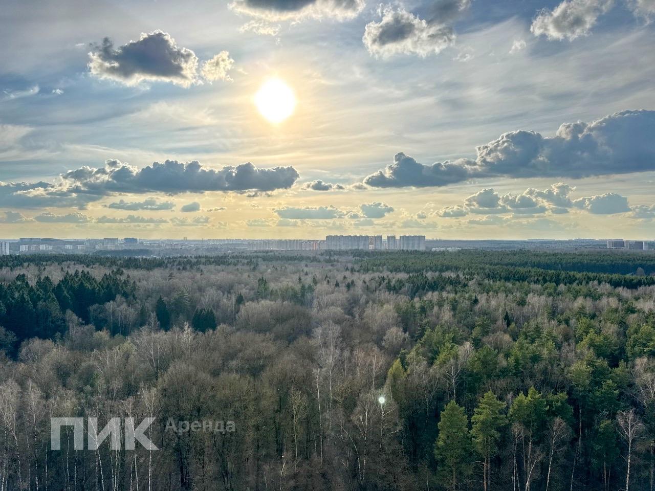 1-к. квартира, 42 м², 82 000 ₽/мес — фото № 19