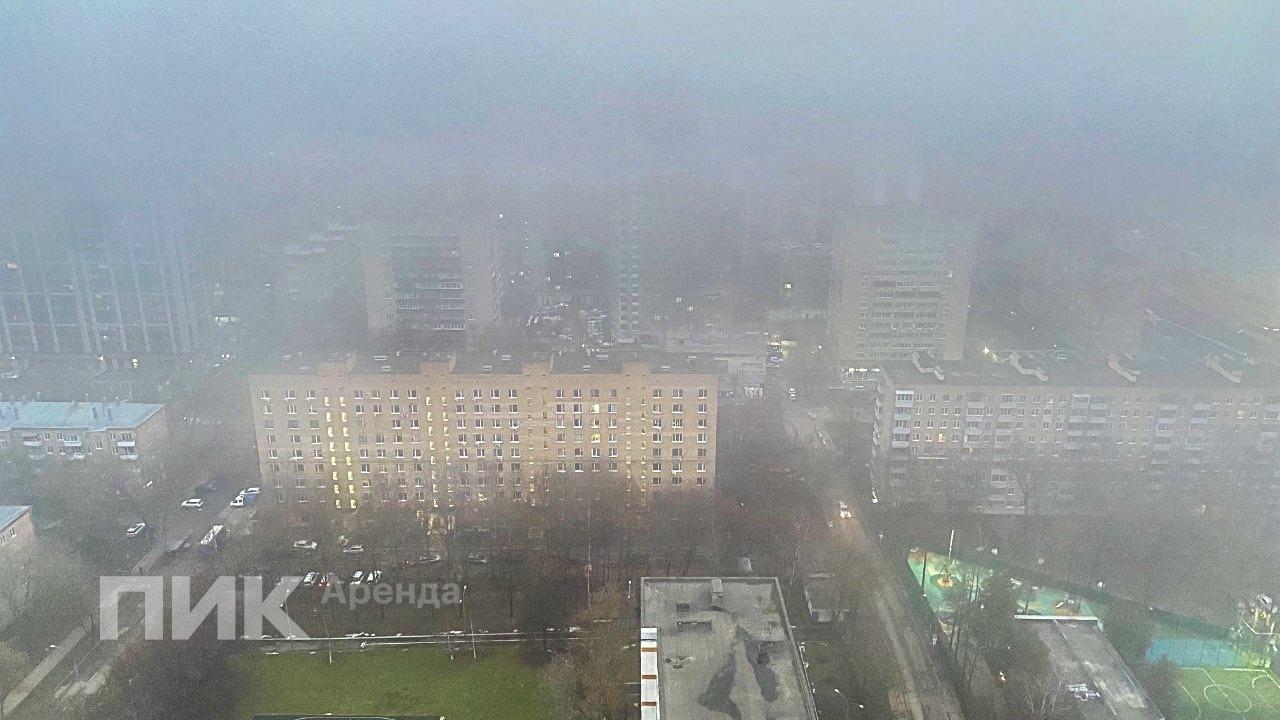 1-к. квартира, 32.5 м², 76 900 ₽/мес — фото № 13