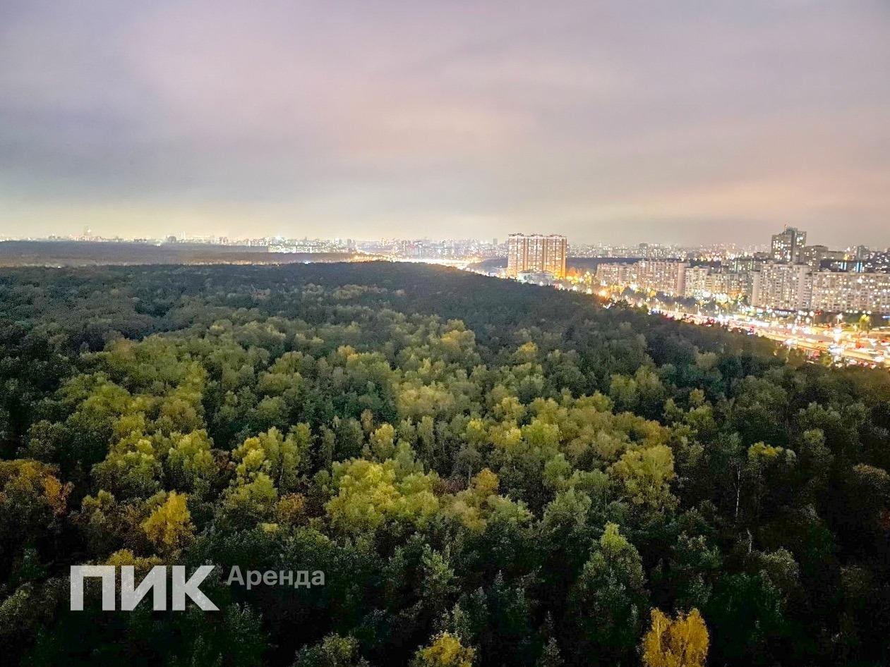 студия, 39.6 м², 65 000 ₽/мес — фото № 15