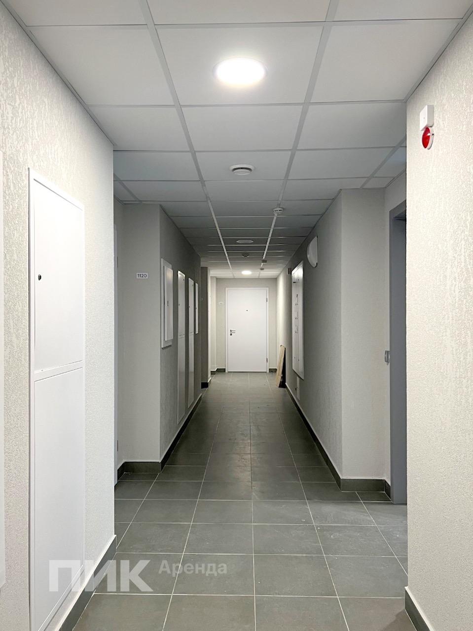 1-к. квартира, 33 м², 53 100 ₽/мес — фото № 10