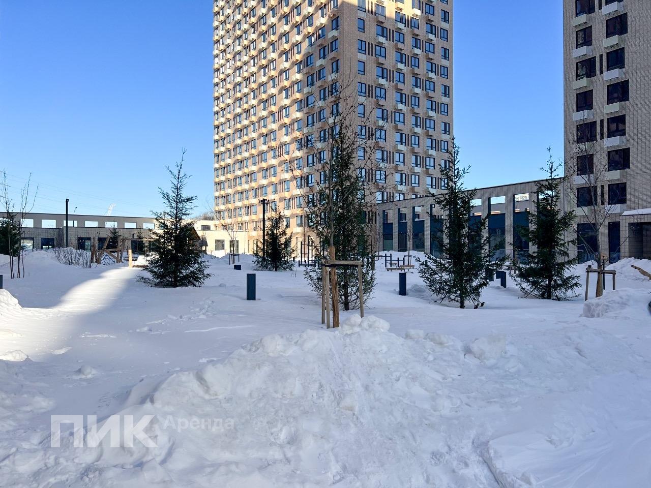 1-к. квартира, 33 м², 53 100 ₽/мес — фото № 16