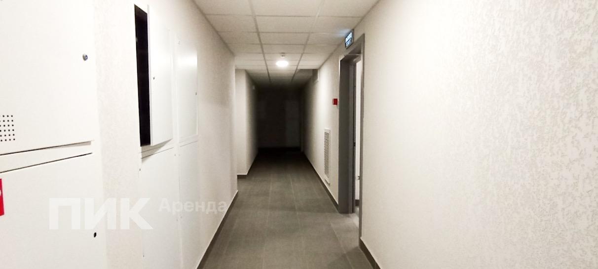 1-к. квартира, 33.4 м², 60 000 ₽/мес — фото № 16