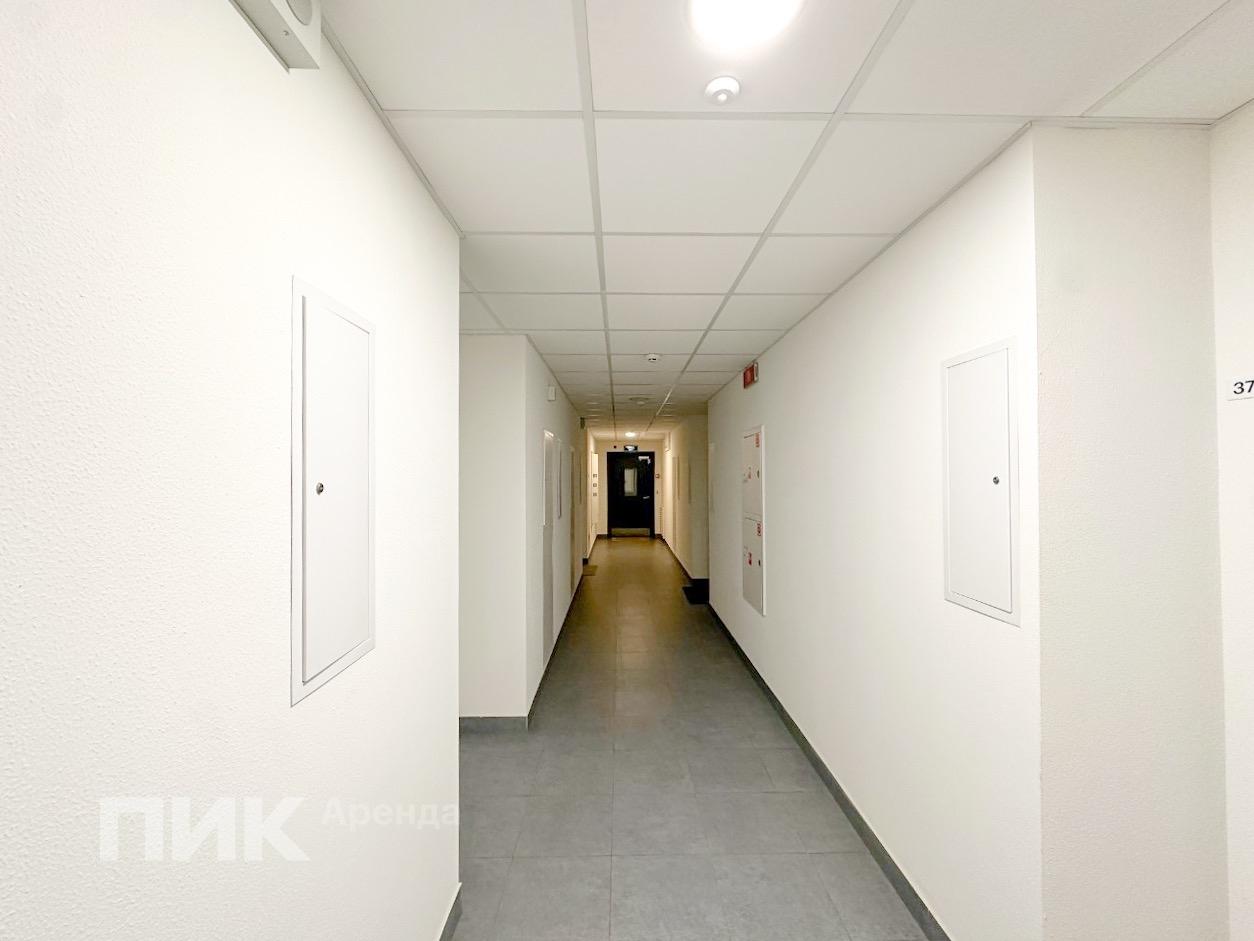 1-к. квартира, 32 м², 56 200 ₽/мес — фото № 12