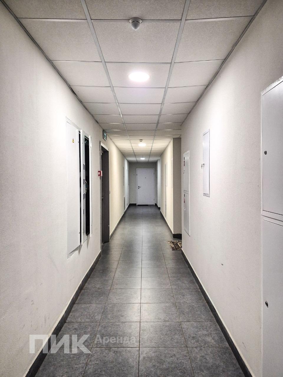 1-к. квартира, 33.5 м², 66 700 ₽/мес — фото № 13