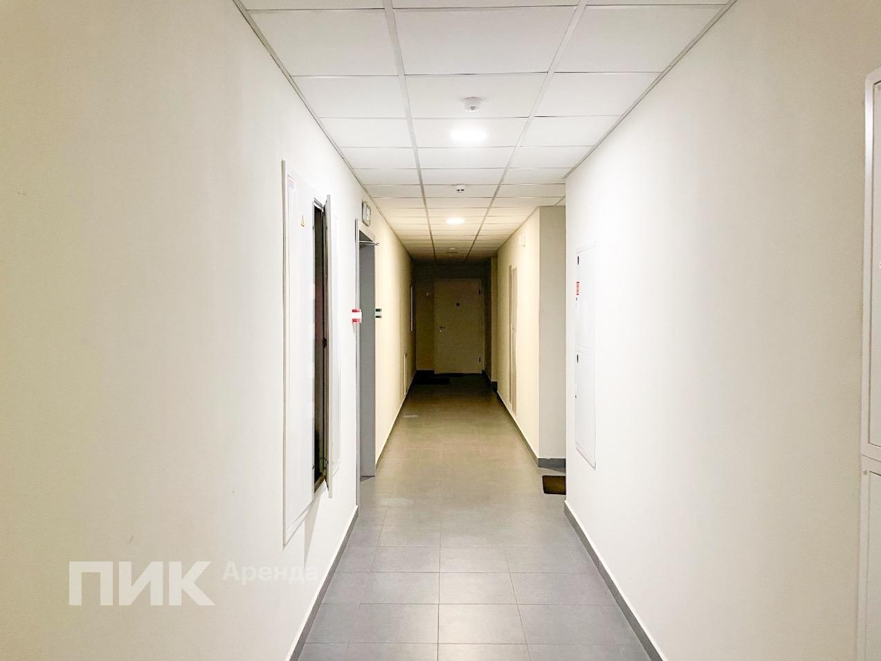 1-к. квартира, 33.1 м², 50 000 ₽/мес — фото № 11