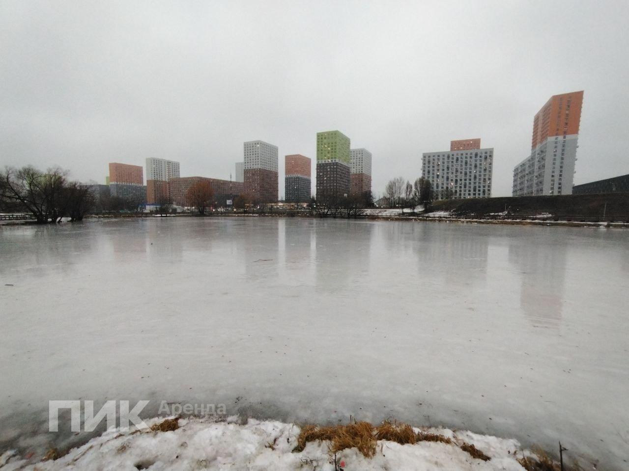 1-к. квартира, 46.2 м², 75 000 ₽/мес — фото № 17