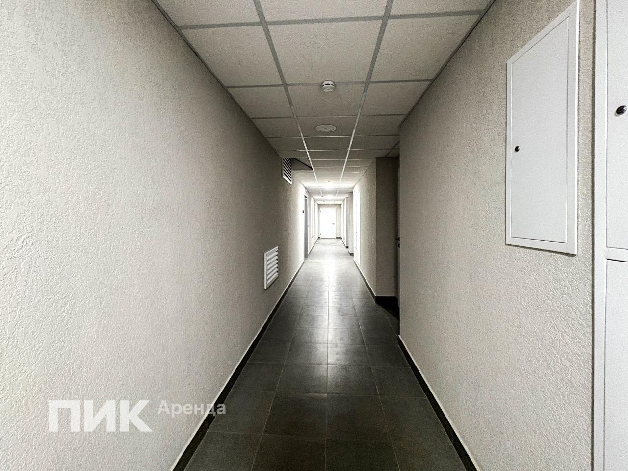 3-к. квартира, 51.8 м², 76 600 ₽/мес — фото № 14