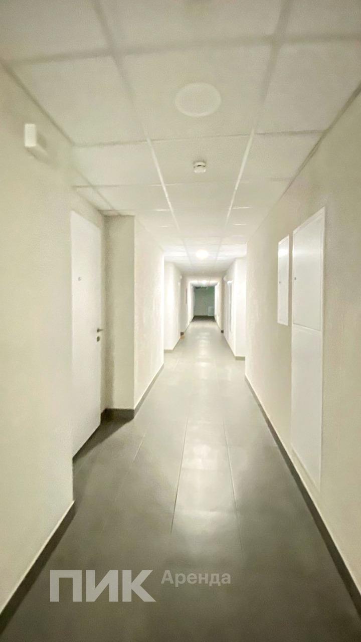 3-к. квартира, 55 м², 82 000 ₽/мес — фото № 12