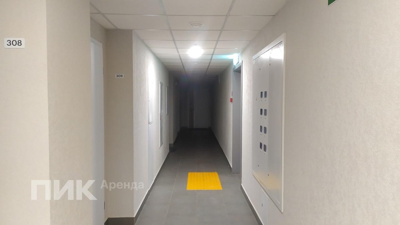 1-к. квартира, 25 м², 66 700 ₽/мес — фото № 8