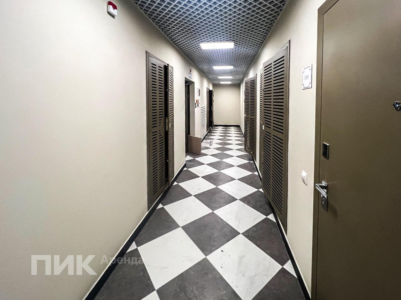 1-к. квартира, 39.25 м², 50 000 ₽/мес — фото № 14