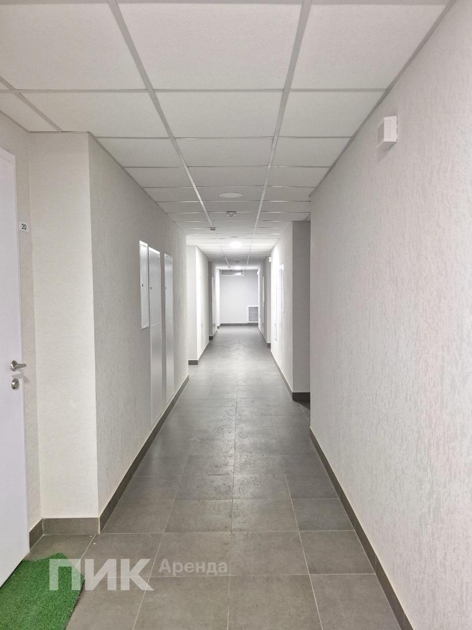 2-к. квартира, 53 м², 89 500 ₽/мес — фото № 20