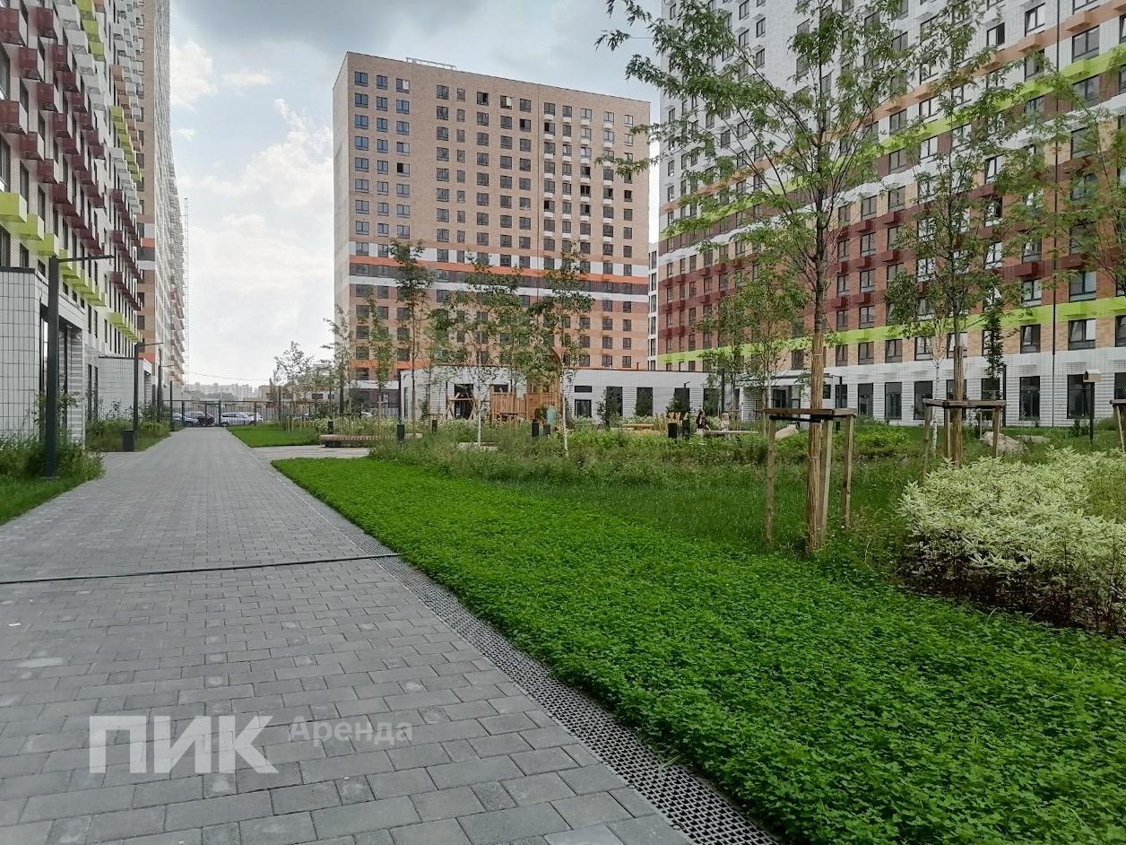 1-к. квартира, 33.8 м², 63 500 ₽/мес — фото № 17