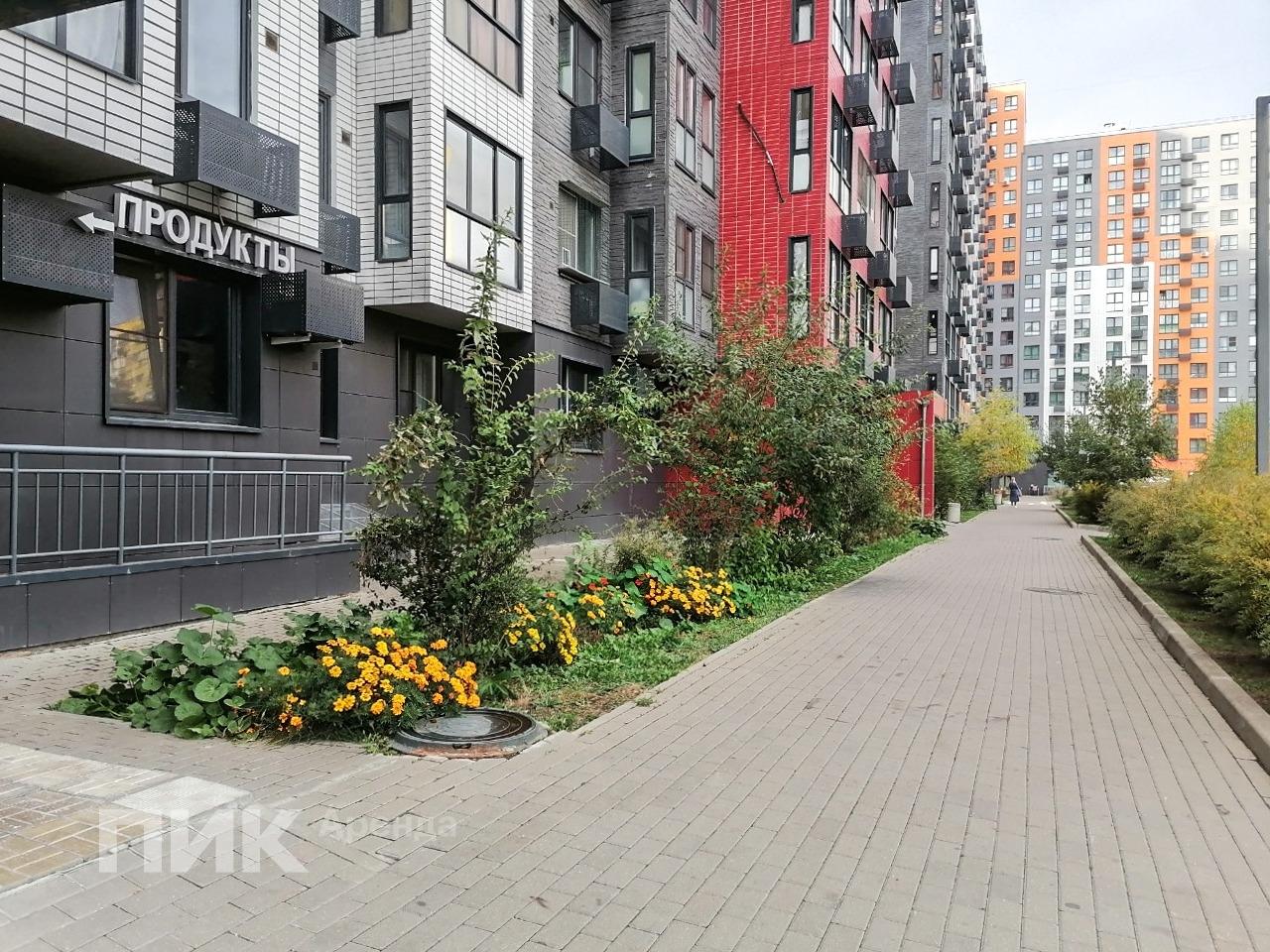 студия, 24 м², 35 000 ₽/мес — фото № 15