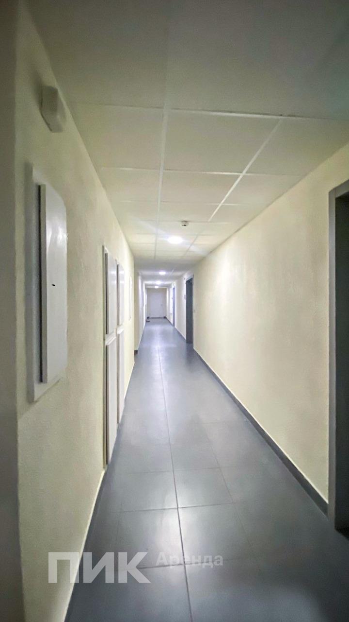 2-к. квартира, 39 м², 76 600 ₽/мес — фото № 11