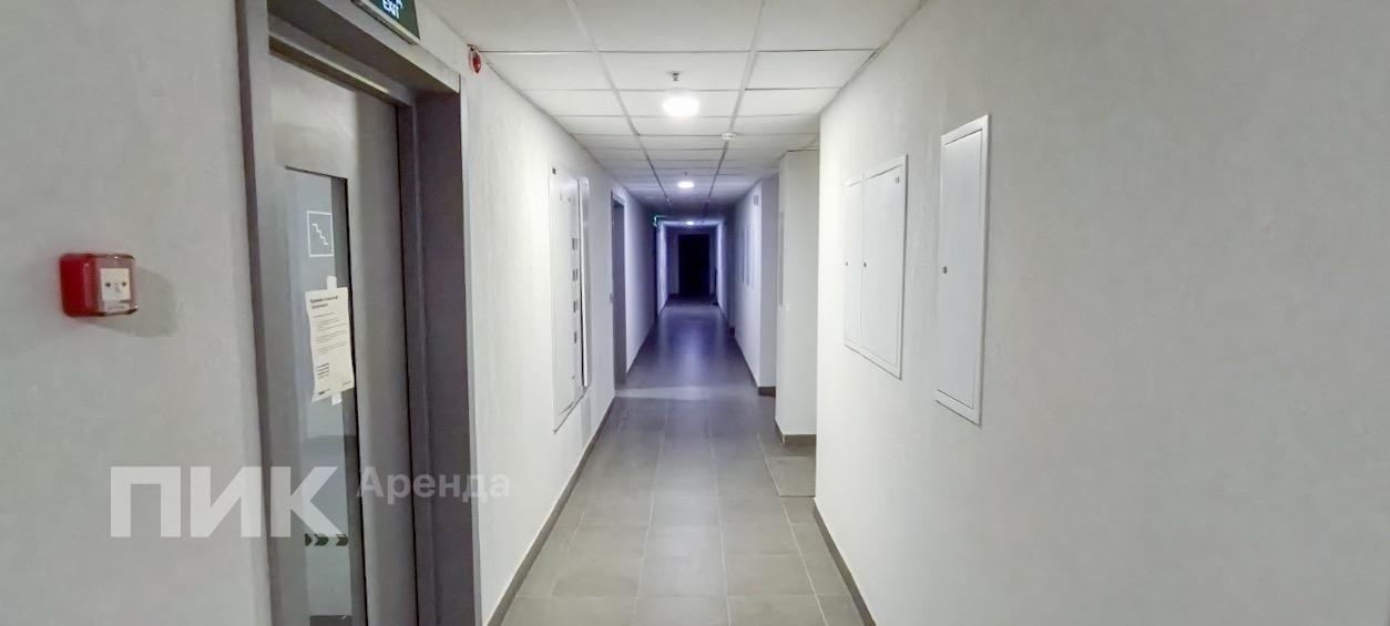 1-к. квартира, 25.3 м², 80 200 ₽/мес — фото № 13