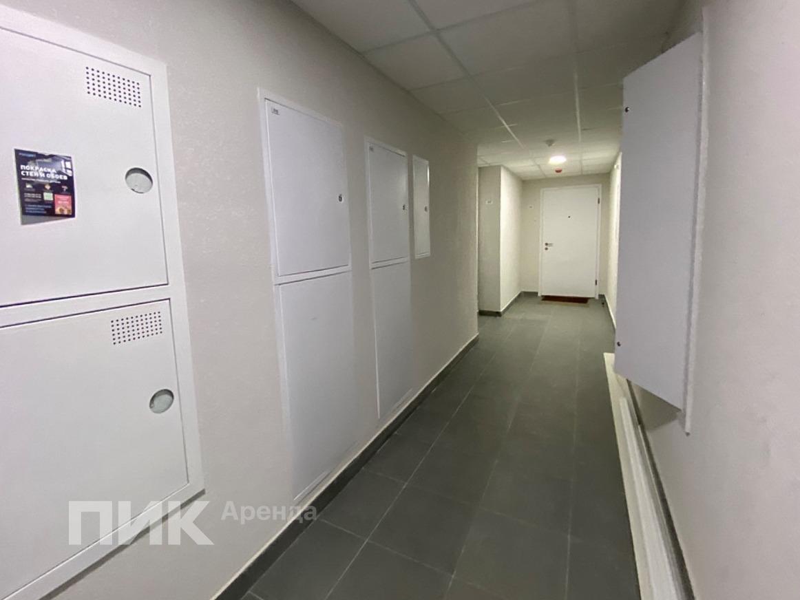 2-к. квартира, 55 м², 58 300 ₽/мес — фото № 12