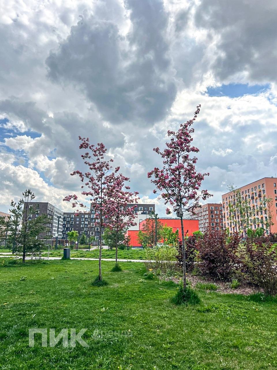 2-к. квартира, 43 м², 46 600 ₽/мес — фото № 19