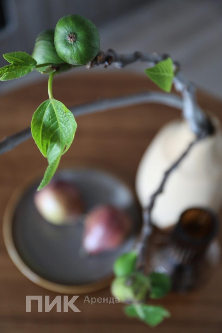 1-к. квартира, 32 м², 75 000 ₽/мес — фото № 12