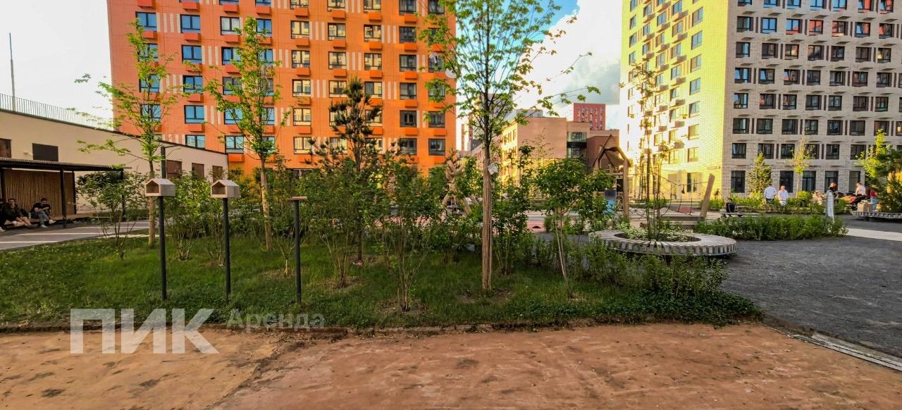 1-к. квартира, 34 м², 82 000 ₽/мес — фото № 22