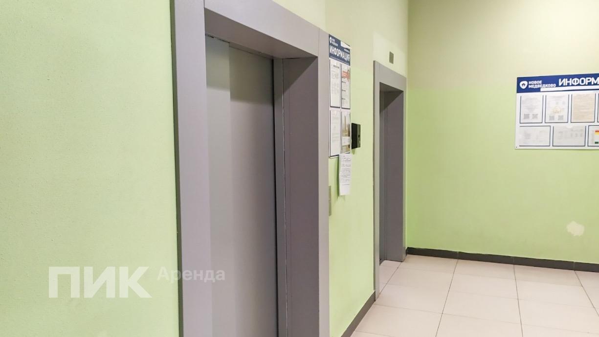 1-к. квартира, 37.5 м², 38 400 ₽/мес — фото № 11