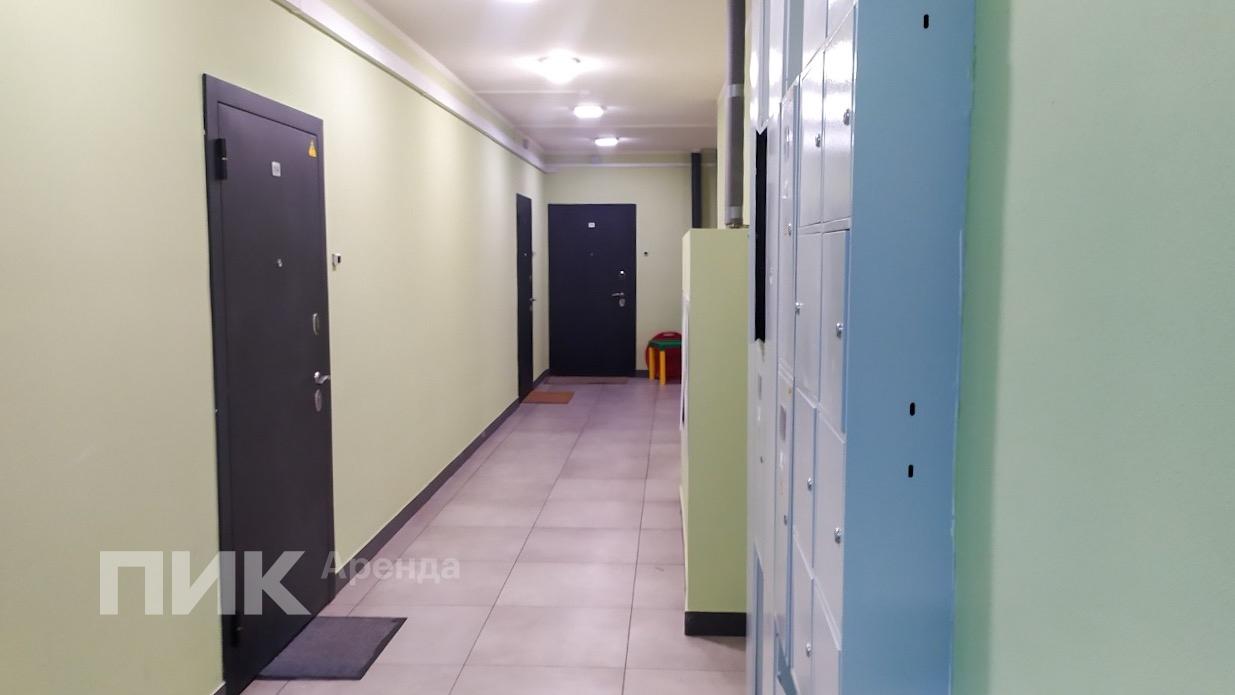 1-к. квартира, 37.5 м², 38 400 ₽/мес — фото № 10