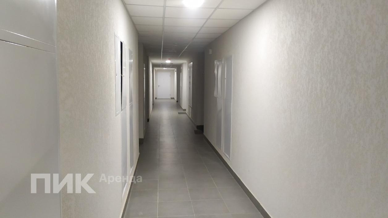 2-к. квартира, 51 м², 92 700 ₽/мес — фото № 15