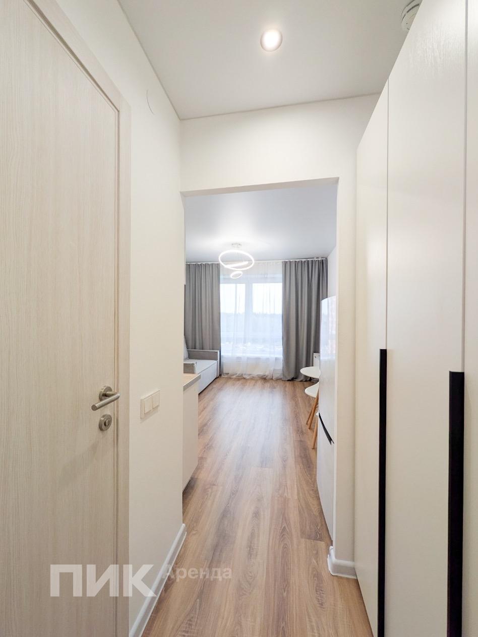 1-к. квартира, 20 м², 45 000 ₽/мес — фото № 8