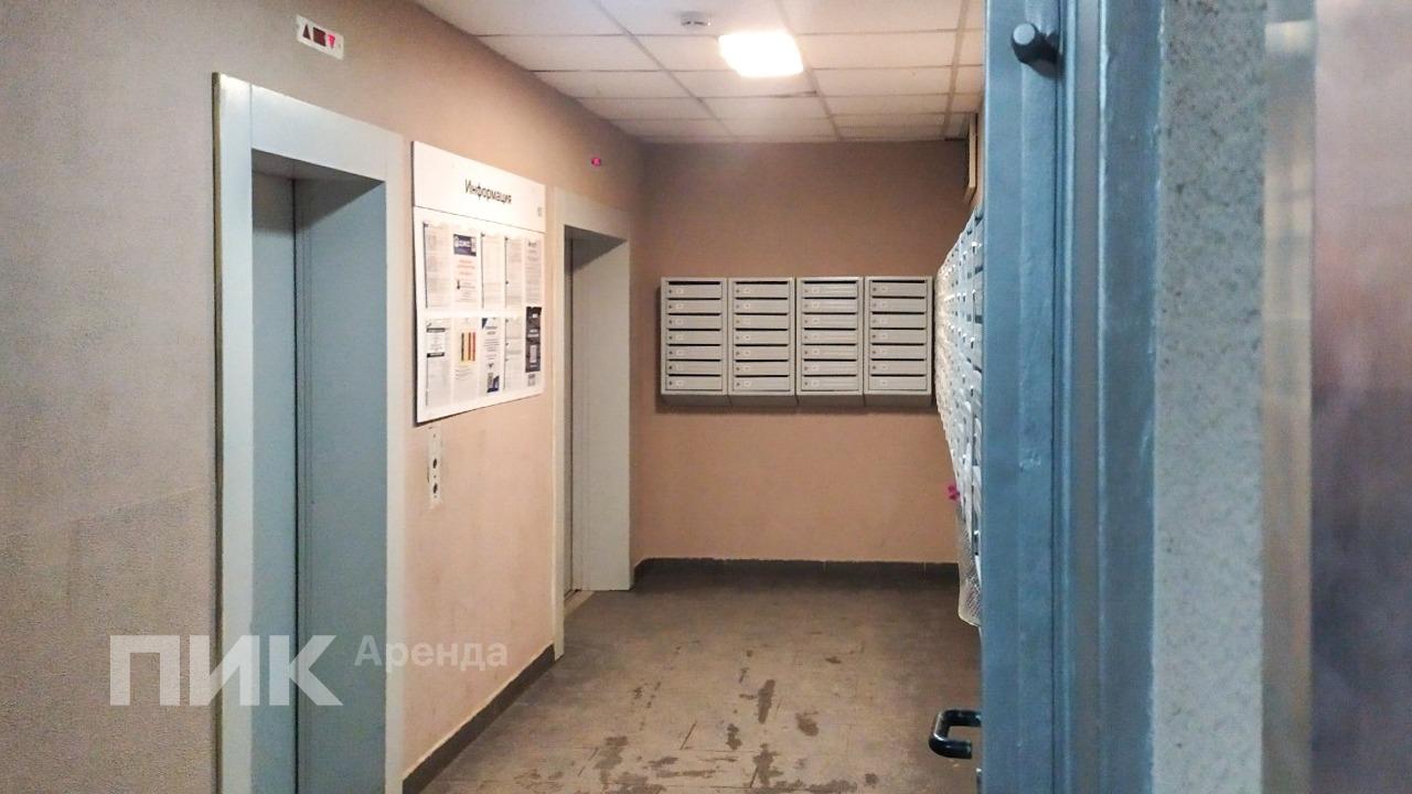 1-к. квартира, 33.8 м², 40 500 ₽/мес — фото № 9