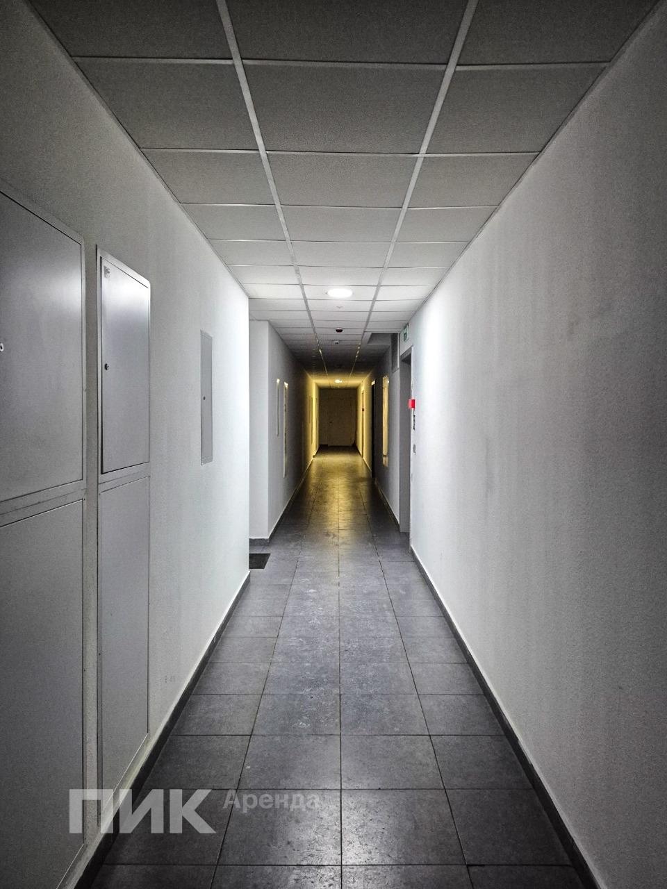 2-к. квартира, 59.7 м², 79 000 ₽/мес — фото № 15