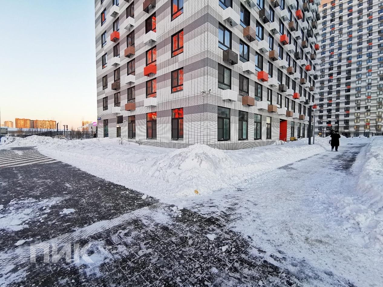 1-к. квартира, 31.9 м², 45 000 ₽/мес — фото № 17