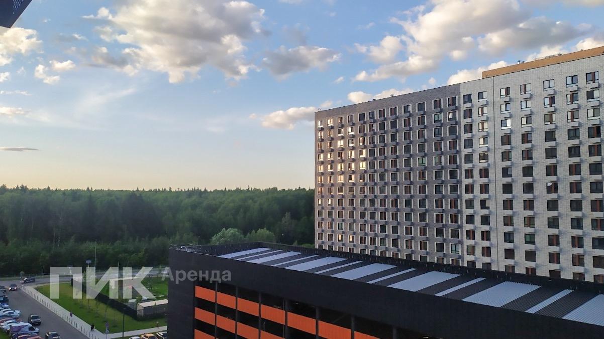 1-к. квартира, 36.9 м², 49 900 ₽/мес — фото № 15