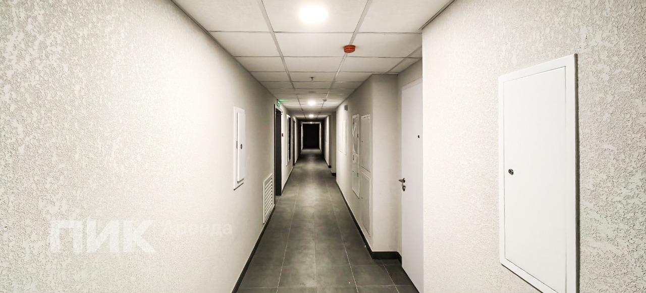студия, 25 м², 65 000 ₽/мес — фото № 12