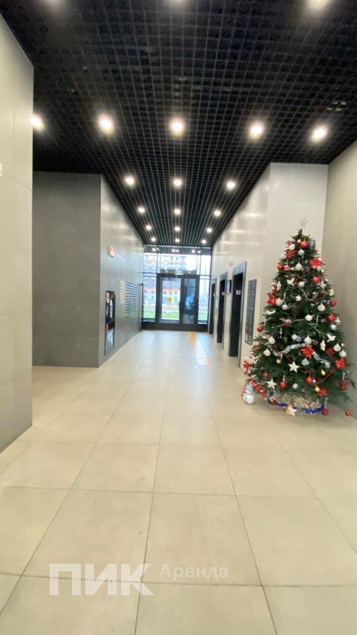 студия, 24.8 м², 60 000 ₽/мес — фото № 10