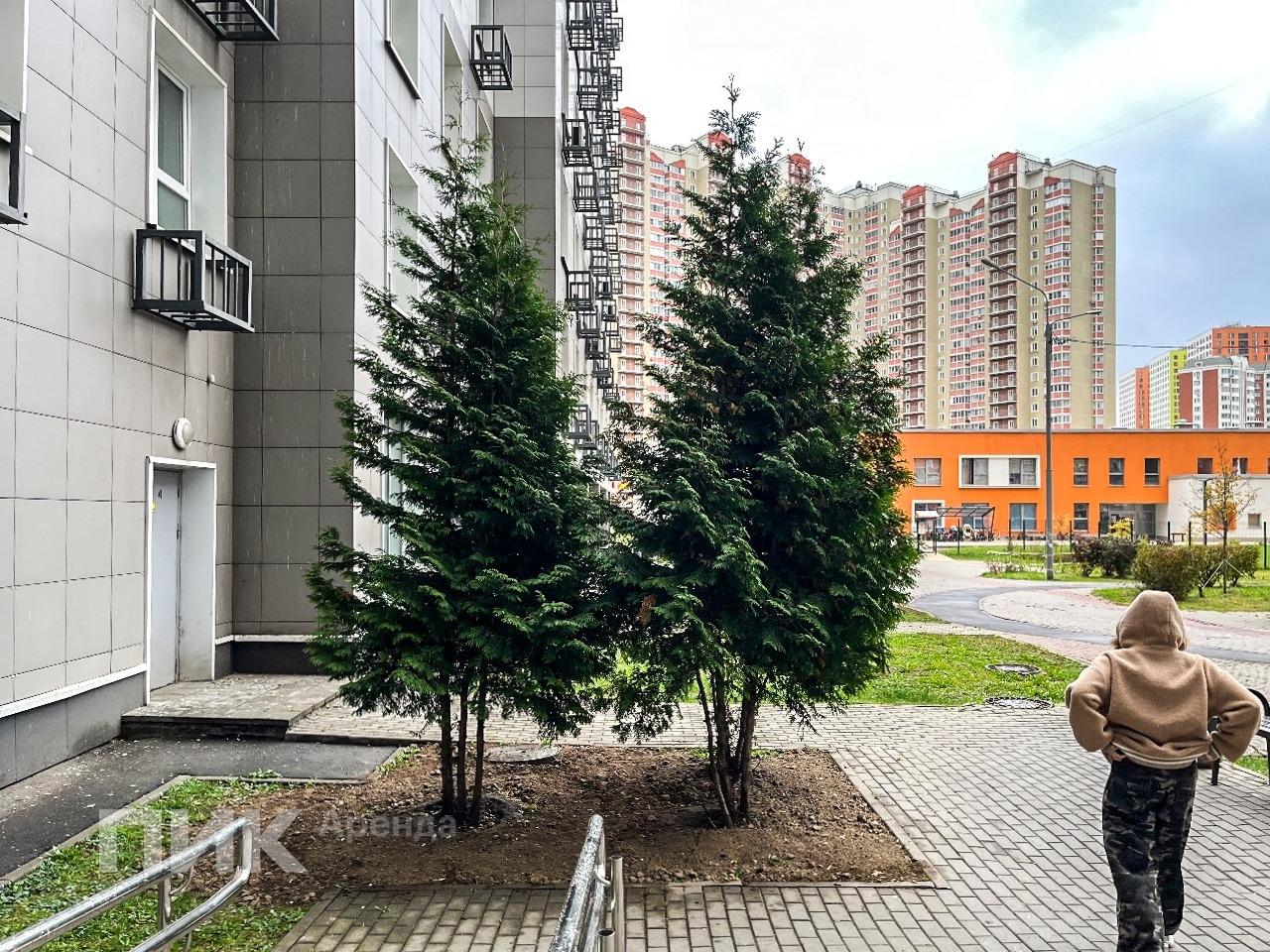 студия, 16 м², 24 000 ₽/мес — фото № 8