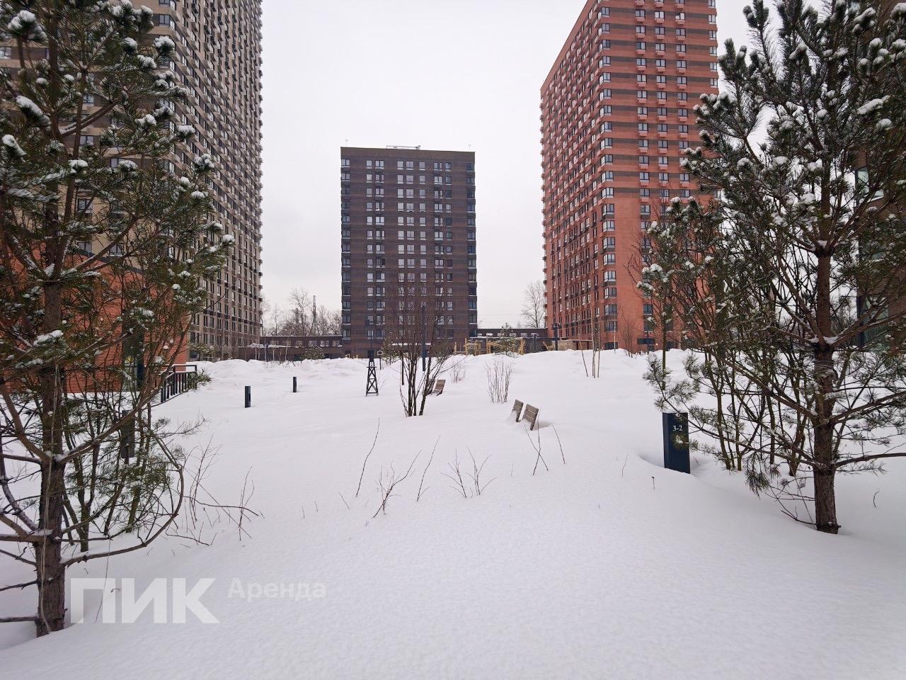 1-к. квартира, 30.5 м², 89 500 ₽/мес — фото № 17