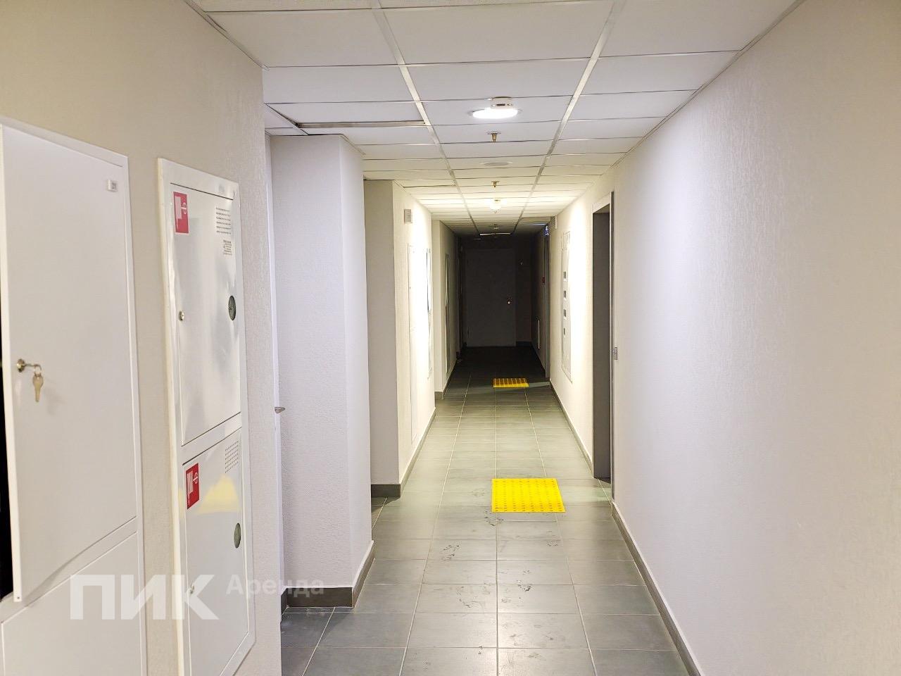 1-к. квартира, 30.5 м², 89 500 ₽/мес — фото № 11