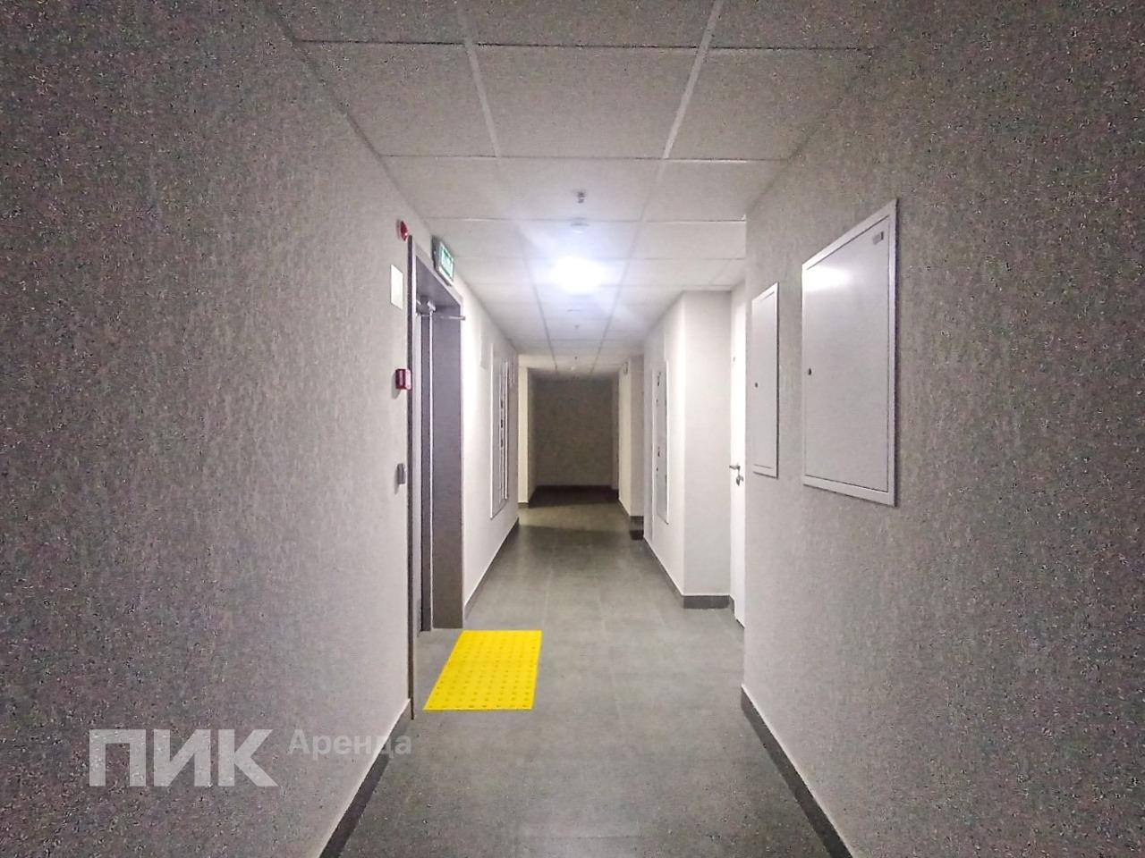 2-к. квартира, 35 м², 82 000 ₽/мес — фото № 11