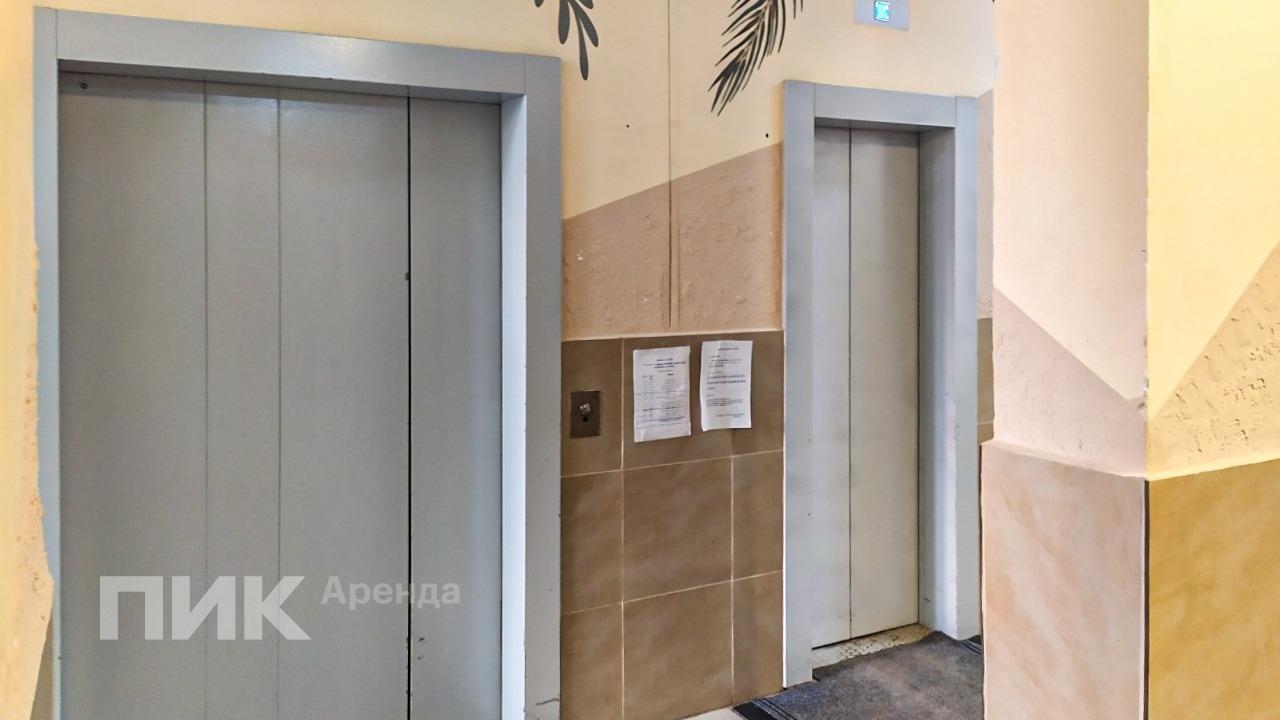 2-к. квартира, 53.5 м², 65 900 ₽/мес — фото № 22