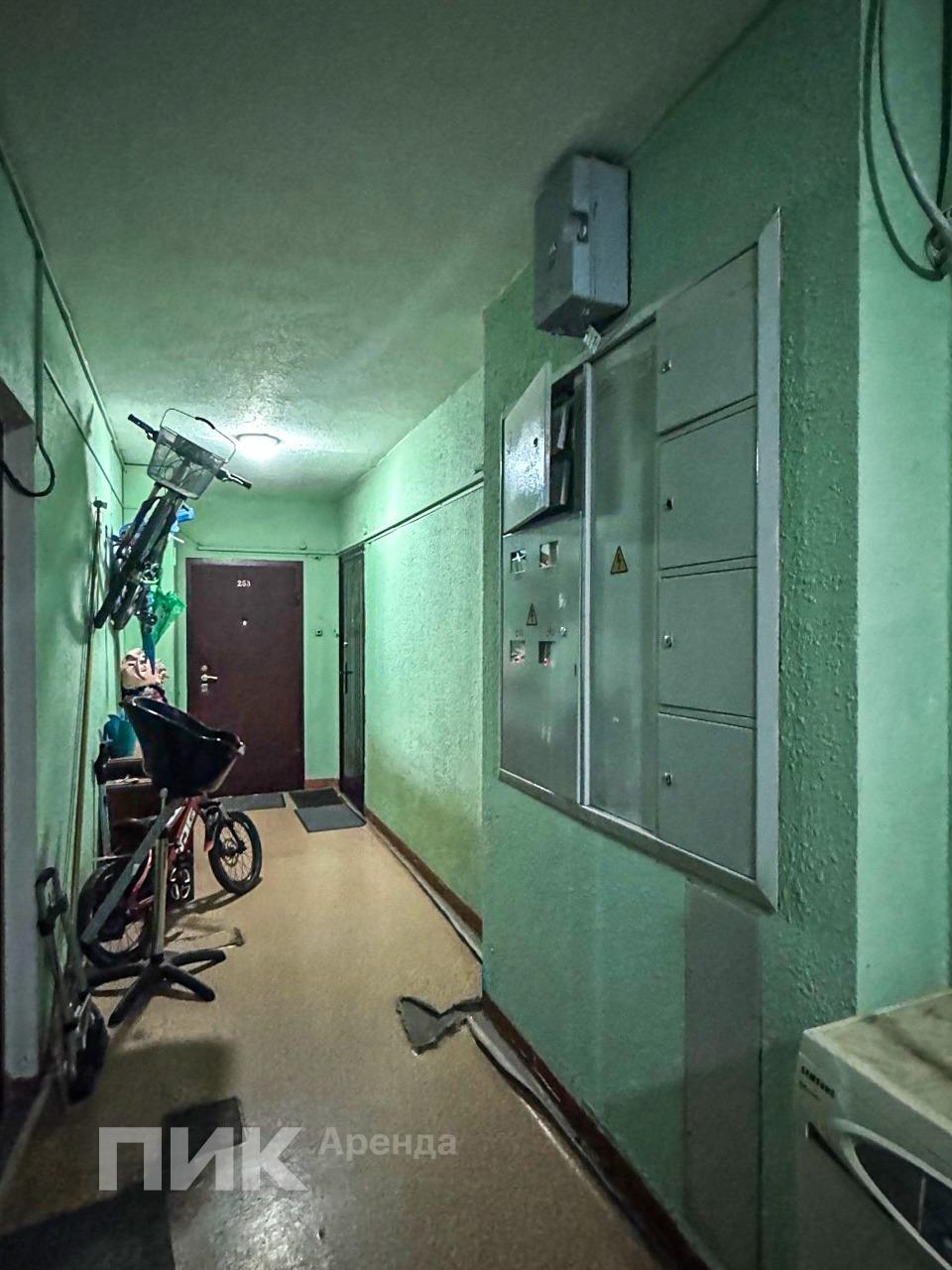 2-к. квартира, 55 м², 71 900 ₽/мес — фото № 19