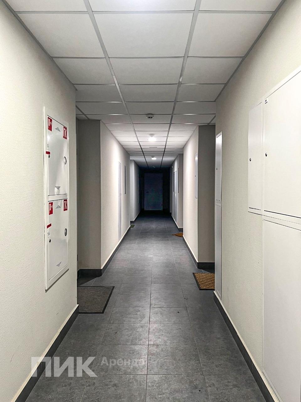 1-к. квартира, 33.1 м², 55 000 ₽/мес — фото № 11