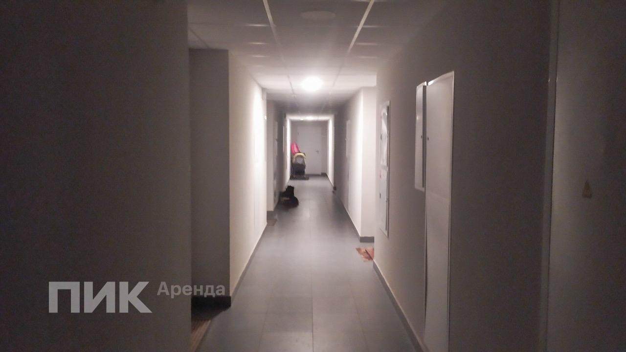 1-к. квартира, 35.5 м², 47 900 ₽/мес — фото № 10