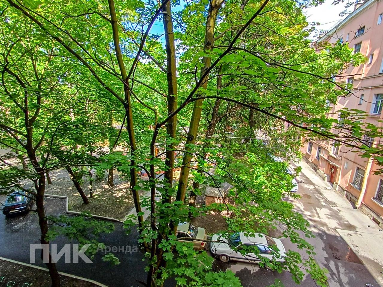 2-к. квартира, 43.3 м², 55 500 ₽/мес — фото № 14