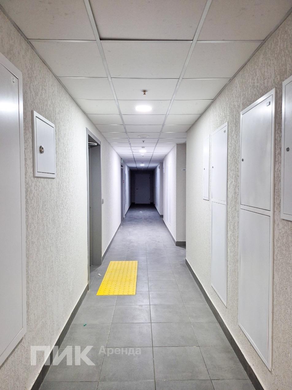 1-к. квартира, 35.6 м², 82 000 ₽/мес — фото № 16