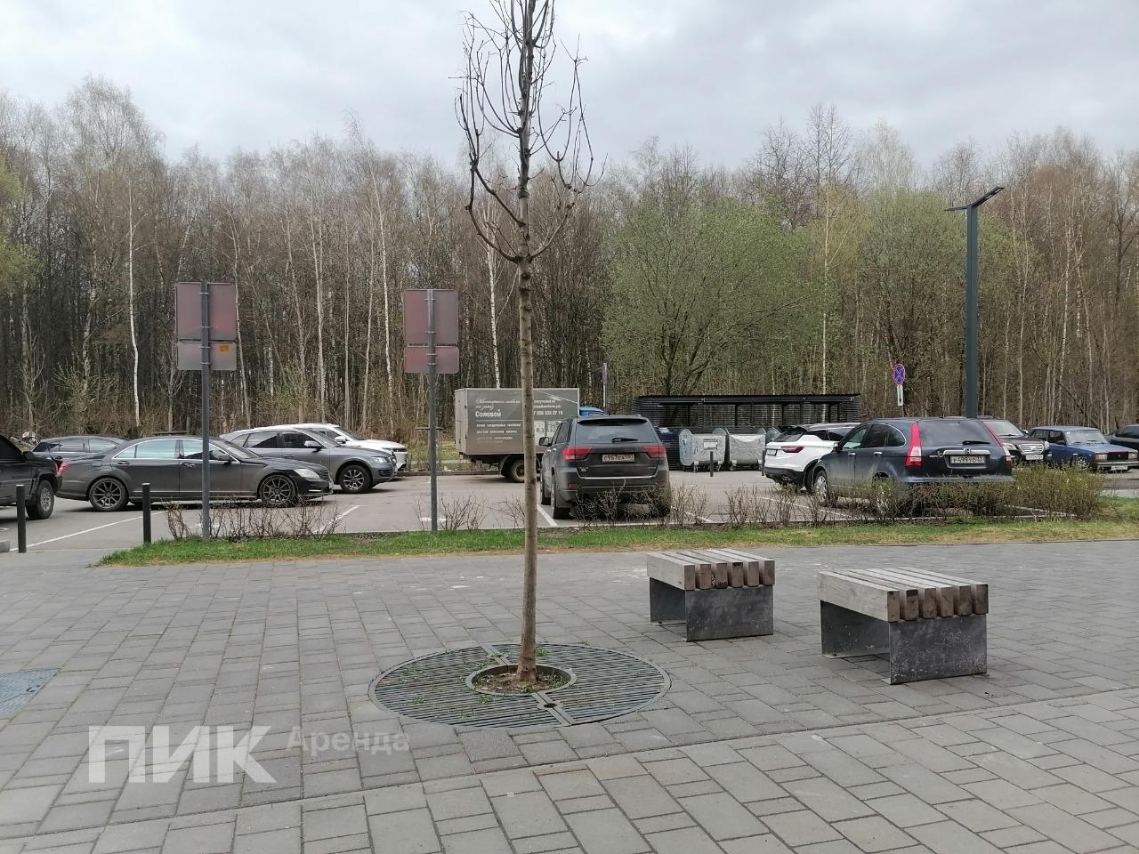 2-к. квартира, 64.7 м², 65 000 ₽/мес — фото № 25