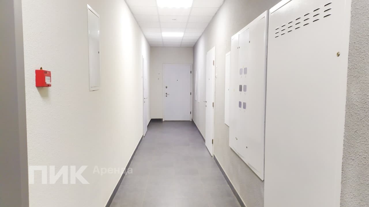 2-к. квартира, 55.3 м², 84 200 ₽/мес — фото № 23