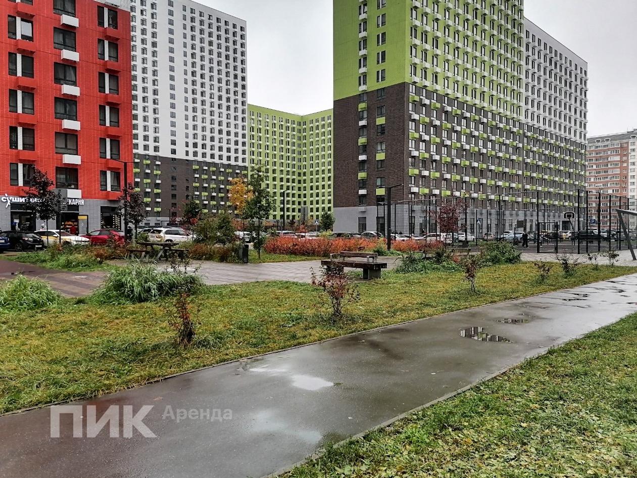 2-к. квартира, 46 м², 51 000 ₽/мес — фото № 17